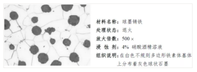 金相學與金相制樣：探索金屬微觀世界的奧秘